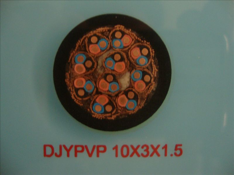 DJYPVP 10*3*1.5 Ӌ(j)C(j)|